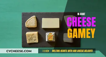 Goat Cheese: Why the Gamey Flavor?