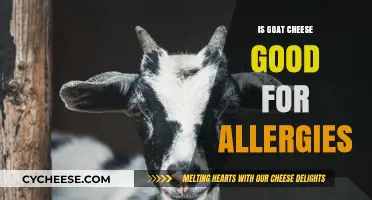 Goat Cheese: A Natural Remedy for Allergies?