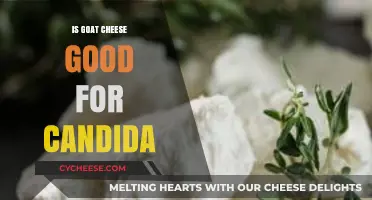 Goat Cheese and Candida: A Healthy Match?