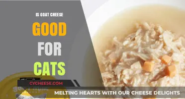 Goat Cheese Benefits for Cats: What You Need to Know
