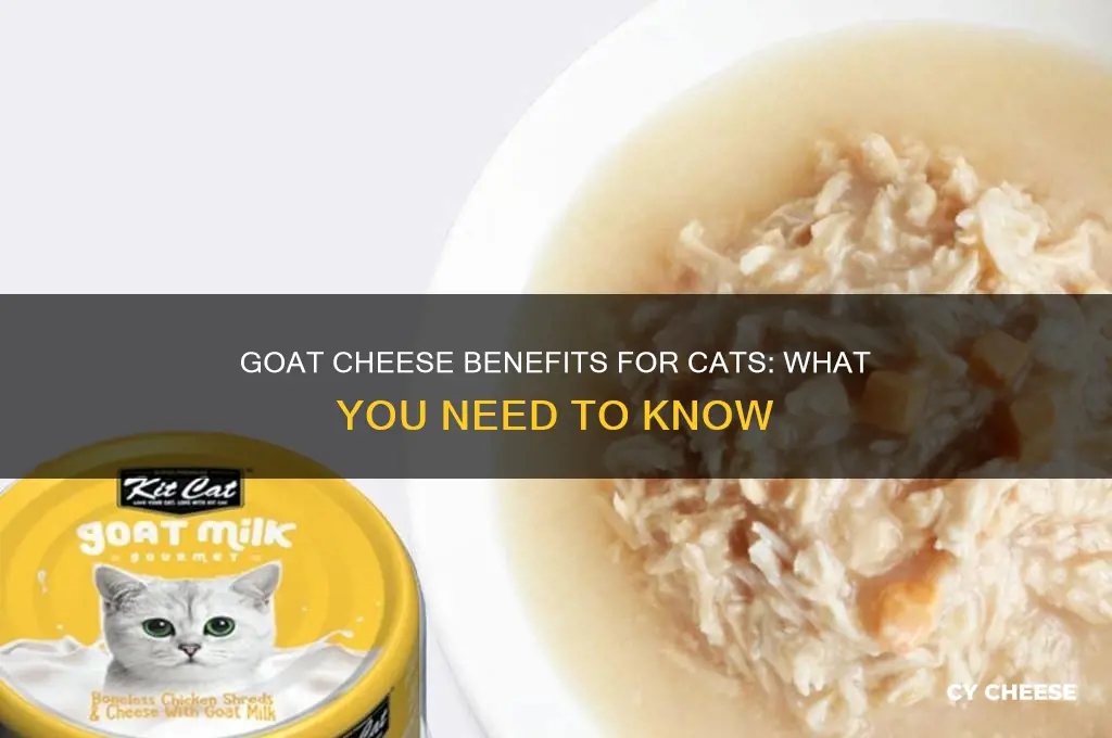 is goat cheese good for cats