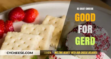 Goat Cheese: Friend or Foe for GERD?