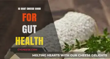 Goat Cheese: A Gut-Friendly Superfood?