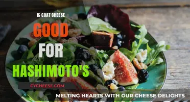 Goat Cheese Benefits for Hashimoto's Patients