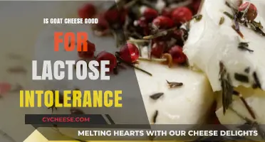 Goat Cheese: A Lactose Intolerant's Friend or Foe?