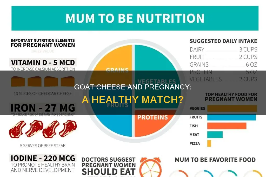 is goat cheese good for pregnancy