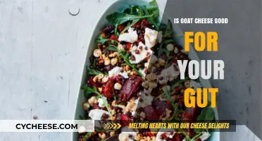 Goat Cheese and Gut Health: Benefits, Probiotics, and Digestion Explained