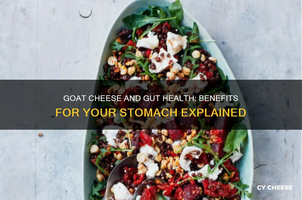 is goat cheese good for your stomach