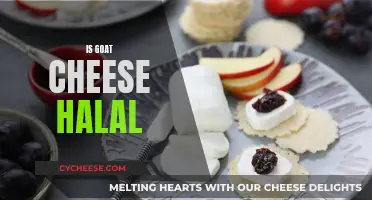 Unveiling the Halal Status of Goat Cheese: A Comprehensive Guide