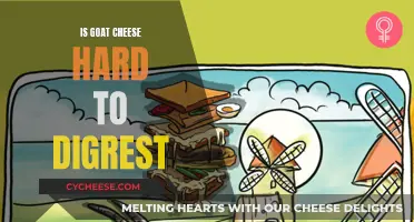 Goat Cheese: Hard to Digest or Healthy Indulgence?