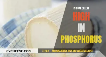 Goat Cheese: Phosphorus Content and Nutritional Insights