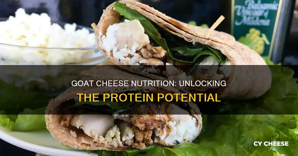 is goat cheese high in protein