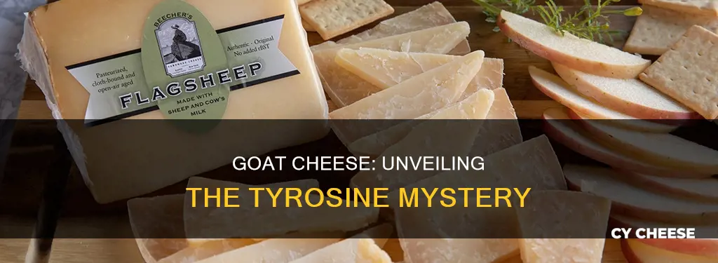 is goat cheese high in tyromines