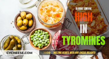 Goat Cheese and Tyramine: What's the Connection?