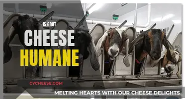 Goat Cheese: Ethical and Humane?