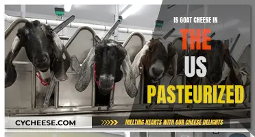 Goat Cheese in the US: Is Pasteurization Standard?