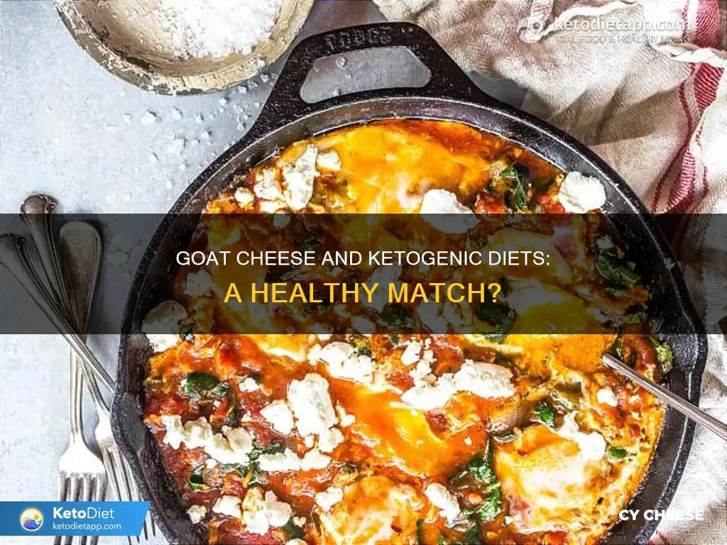 is goat cheese ketogenic