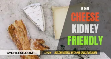 Goat Cheese and Kidney Health: A Tasty, Nutritious Option