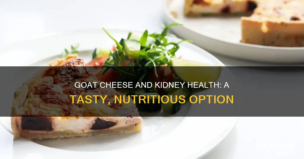 is goat cheese kidney friendly