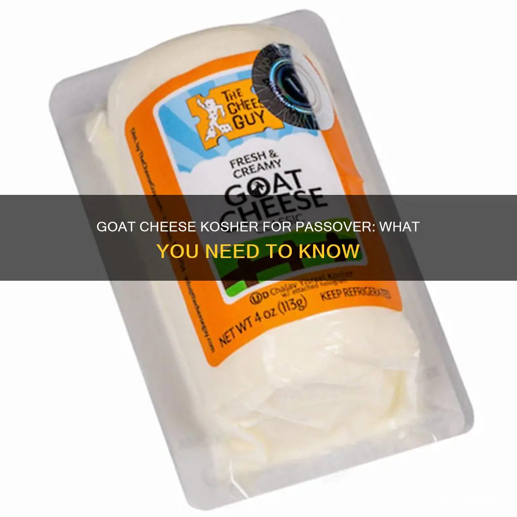 is goat cheese kosher for passover