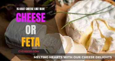 Goat Cheese: Blue or Feta?