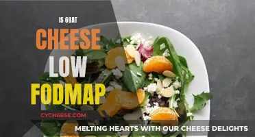 Goat Cheese: A Low-FODMAP Delight or a No-Go?