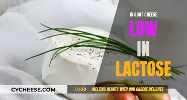 Goat Cheese and Lactose: A Healthy Alternative?