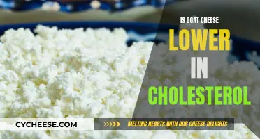 Goat Cheese: Healthy Option or Cholesterol Concern?