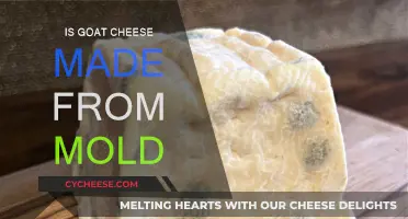 Unveiling the Moldy Mystery: Is Goat Cheese Really Made from Mold?