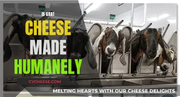 Goat Cheese: Ethical Production Methods Explored