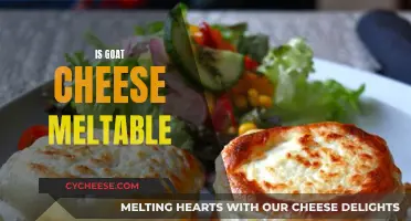 Goat Cheese Melting: The Ultimate Guide to Melting Goat Cheese