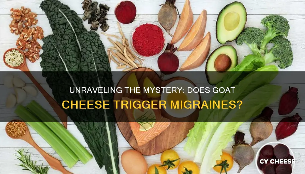 is goat cheese migraine