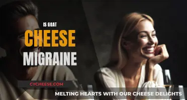 Goat Cheese and Migraines: A Trigger or a Relief?