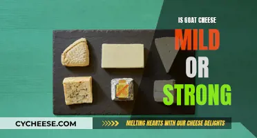 Goat Cheese: Mild or Strong Flavor?