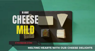 Goat Cheese: A Mild and Creamy Delight