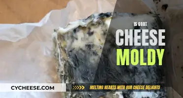 Unraveling the Mystery: Is Goat Cheese Always Moldy?