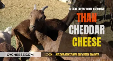 Goat Cheese: Why Is It Pricier Than Cheddar?