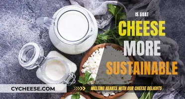 Goat Cheese: A Sustainable Superfood?