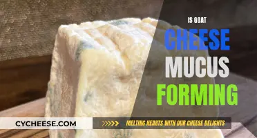 Unraveling the Mystery: Why Goat Cheese Can Be Mucus-y