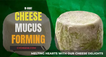 Goat Cheese and Mucus: A Health Concern?