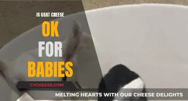 Goat Cheese: A Healthy Option for Babies?