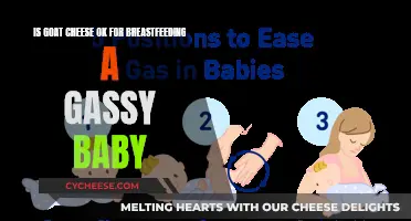 Goat Cheese and Gas: Breastfeeding Tips for Gassy Babies