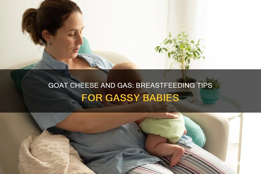 is goat cheese ok for breastfeeding a gassy baby