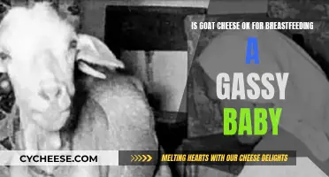 Goat Cheese and Breastfeeding: A Remedy for Baby's Gas?
