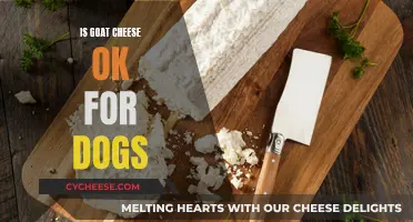Goat Cheese and Dogs: A Healthy Treat?