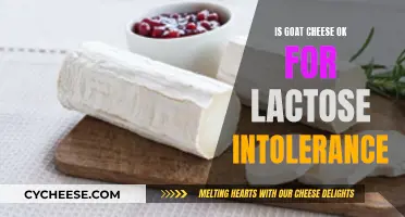 Goat Cheese and Lactose Intolerance: Can You Enjoy It?