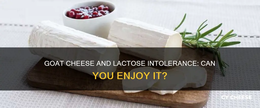 is goat cheese ok for lactose intolerance