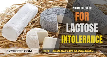 Goat Cheese: A Lactose Intolerant's Friend or Foe?