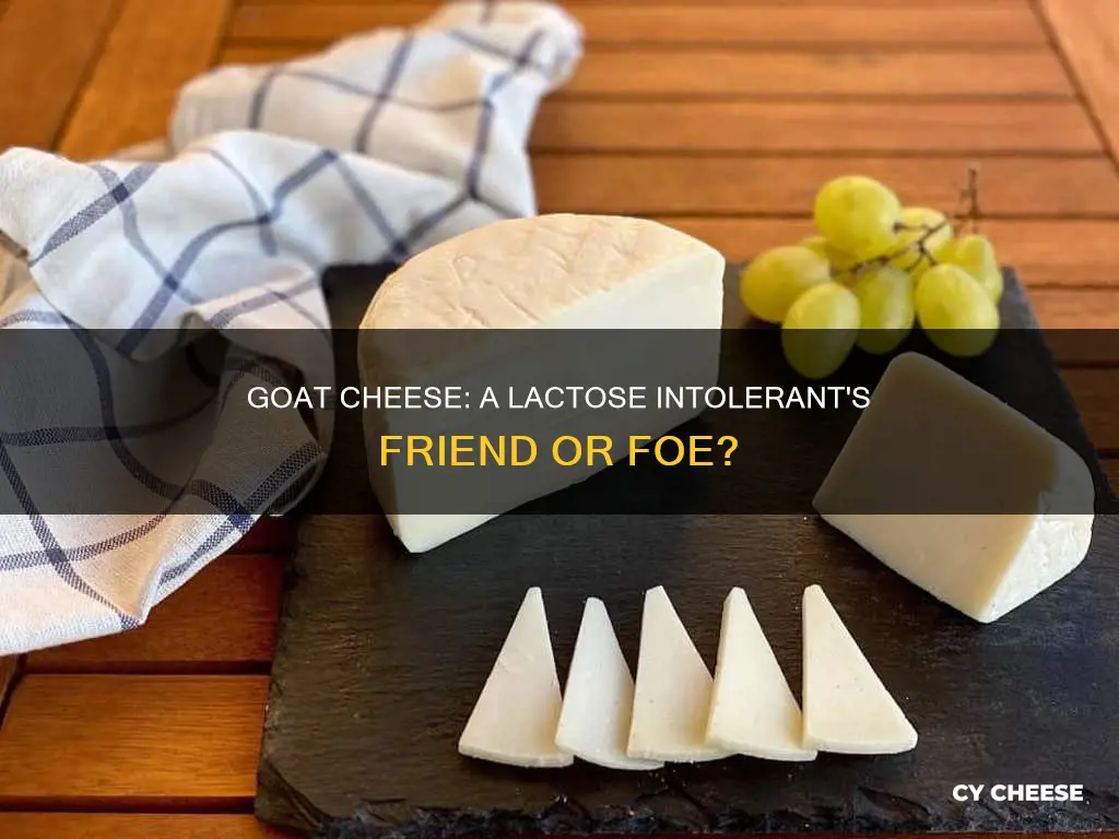 is goat cheese ok for lactose intolerance