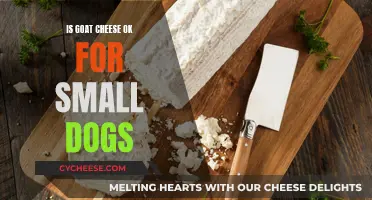 Goat Cheese: A Treat or Treat? Exploring Small Dog Safety